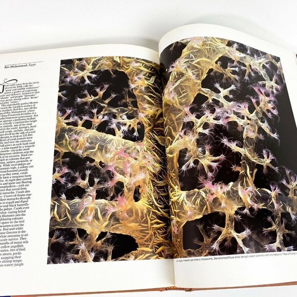 1ST Ed. OUR WORLD'S HERITAGE NATIONAL GEOGRAPHIC - Picture 8 of 10